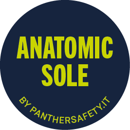 Anatomic Sole